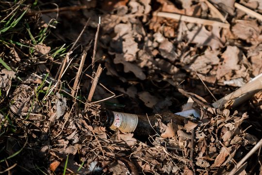 Zaśmiecone oczko wodne w Starym Ogrodzie (zdjęcia)