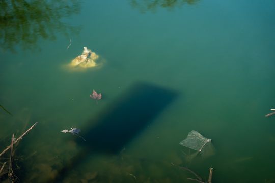 Zaśmiecone oczko wodne w Starym Ogrodzie (zdjęcia)