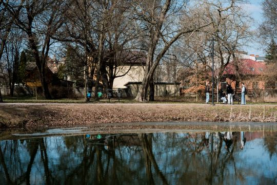 Zaśmiecone oczko wodne w Starym Ogrodzie (zdjęcia)