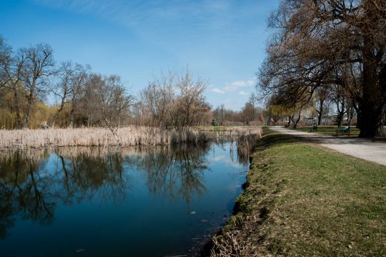 Zaśmiecone oczko wodne w Starym Ogrodzie (zdjęcia)