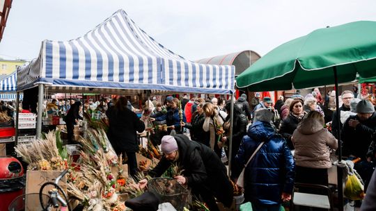Korej - Przedświąteczne zakupy (zdjęcia) Korej - Przedświąteczne zakupy (zdjęcia)