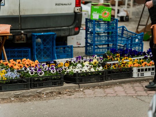 Korej - Przedświąteczne zakupy (zdjęcia)