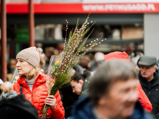Korej - Przedświąteczne zakupy (zdjęcia)