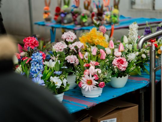 Korej - Przedświąteczne zakupy (zdjęcia)