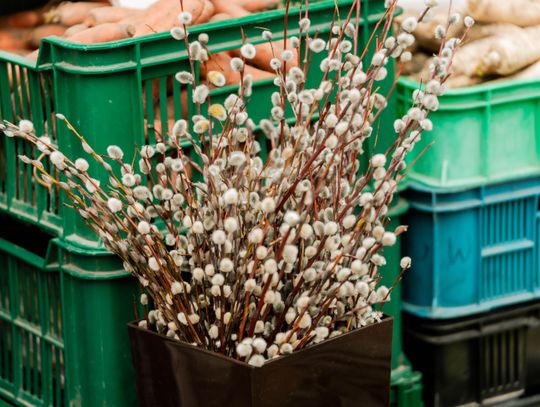 Korej - Przedświąteczne zakupy (zdjęcia)