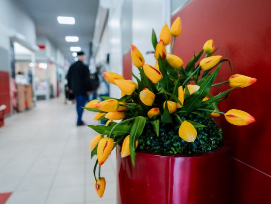 Korej - Przedświąteczne zakupy (zdjęcia)