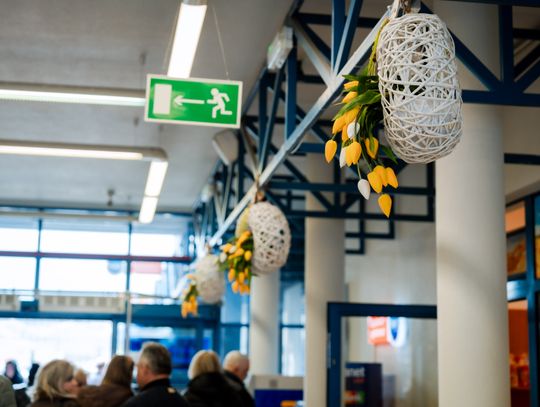 Korej - Przedświąteczne zakupy (zdjęcia)