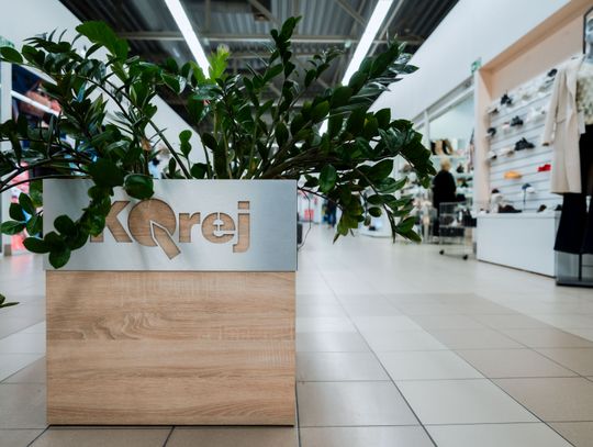 Korej - Przedświąteczne zakupy (zdjęcia)