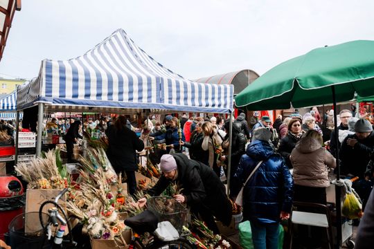 Korej - Przedświąteczne zakupy (zdjęcia)