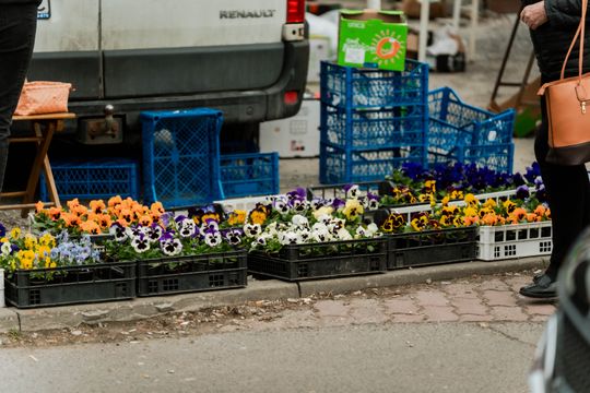 Korej - Przedświąteczne zakupy (zdjęcia)