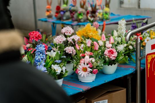 Korej - Przedświąteczne zakupy (zdjęcia)