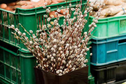 Korej - Przedświąteczne zakupy (zdjęcia)