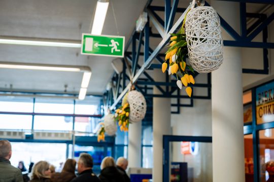 Korej - Przedświąteczne zakupy (zdjęcia)