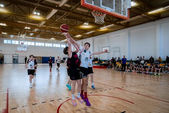 Tigers Tournament - Turniej Wiosenny (zdjęcia)