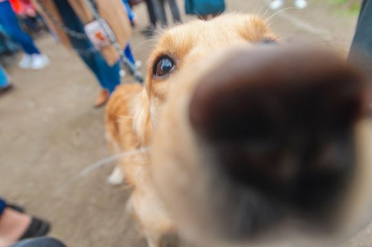 minidzień autyzmu-51a.jpg