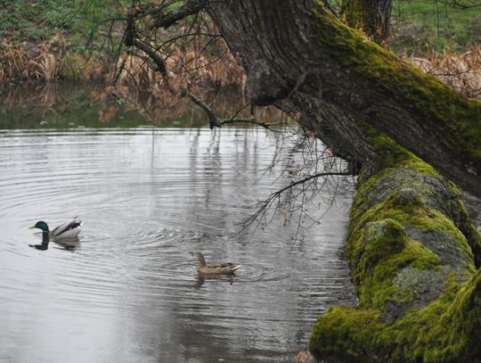 Znane miejsca w Szydłowcu