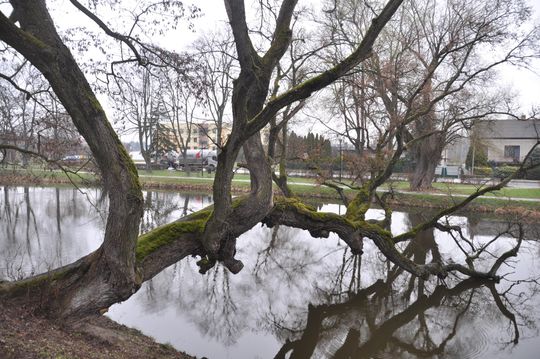Znane miejsca w Szydłowcu