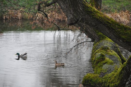 Znane miejsca w Szydłowcu