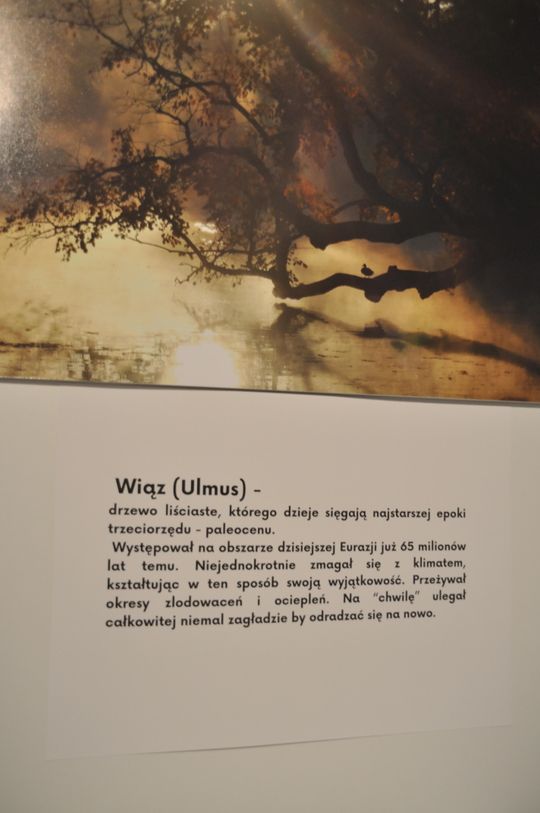 Znane miejsca w Szydłowcu