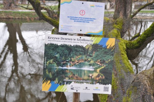 Znane miejsca w Szydłowcu