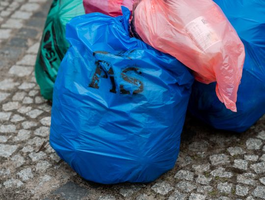 Konferencja prasowa Konfederacji (zdjęcia)