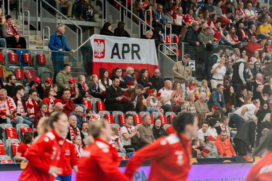 Polska - Rumunia (zdjęcia) 