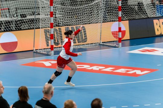 Polska - Rumunia (zdjęcia) 