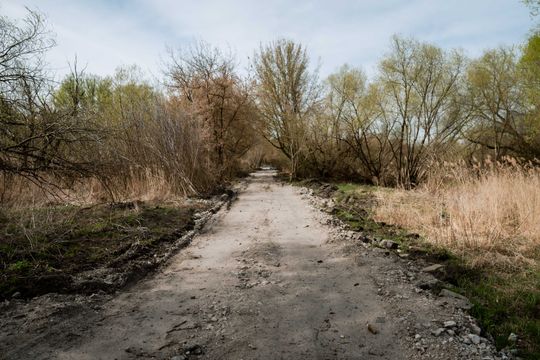 Przebudowa kładki na rzece Mlecznej (zdjęcia)