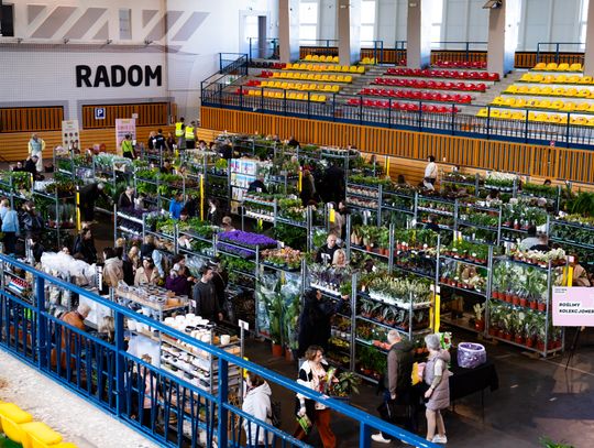 Festiwal roślin w Radomiu (zdjęcia)