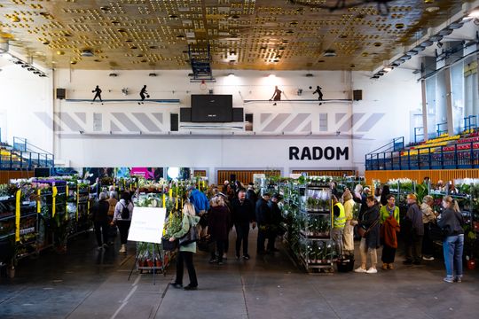 Festiwal roślin w Radomiu (zdjęcia)