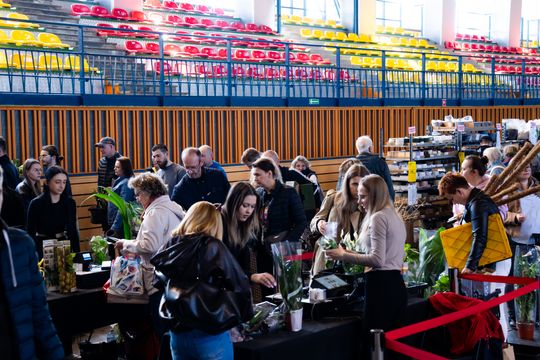 Festiwal roślin w Radomiu (zdjęcia)
