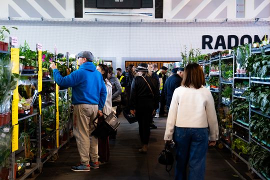 Festiwal roślin w Radomiu (zdjęcia)