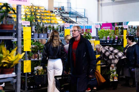 Festiwal roślin w Radomiu (zdjęcia)