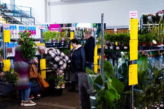 Festiwal roślin w Radomiu (zdjęcia)