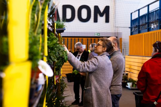 Festiwal roślin w Radomiu (zdjęcia)