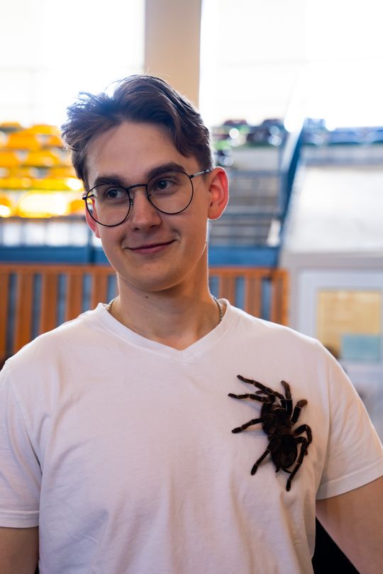 Festiwal roślin w Radomiu (zdjęcia)