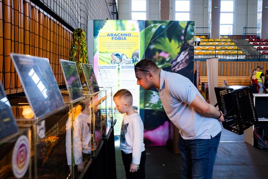 Festiwal roślin w Radomiu (zdjęcia)