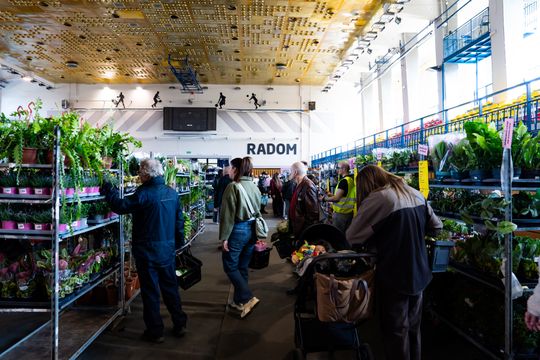 Festiwal roślin w Radomiu (zdjęcia)