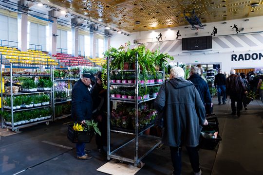 Festiwal roślin w Radomiu (zdjęcia)