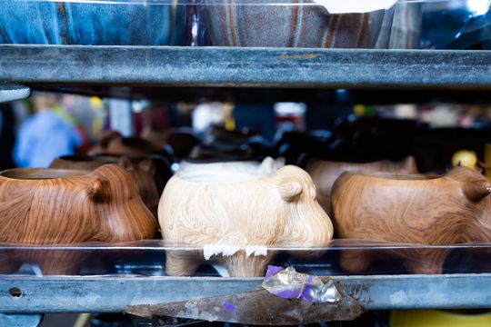 Festiwal roślin w Radomiu (zdjęcia)