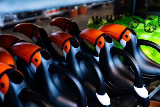 Festiwal roślin w Radomiu (zdjęcia)