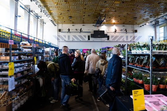 Festiwal roślin w Radomiu (zdjęcia)