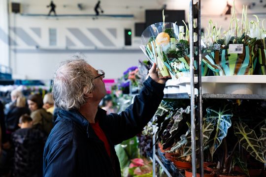 Festiwal roślin w Radomiu (zdjęcia)