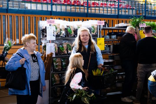 Festiwal roślin w Radomiu (zdjęcia)
