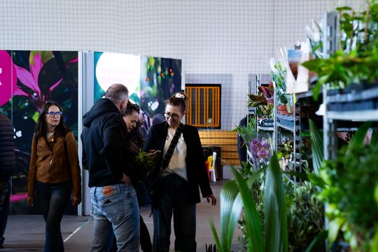 Festiwal roślin w Radomiu (zdjęcia)