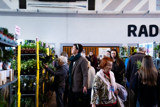 Festiwal roślin w Radomiu (zdjęcia)