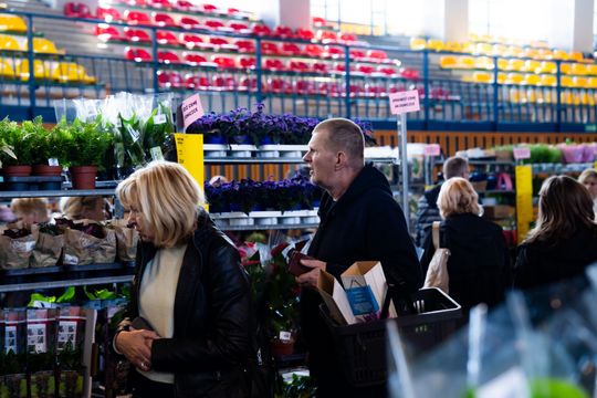 Festiwal roślin w Radomiu (zdjęcia)