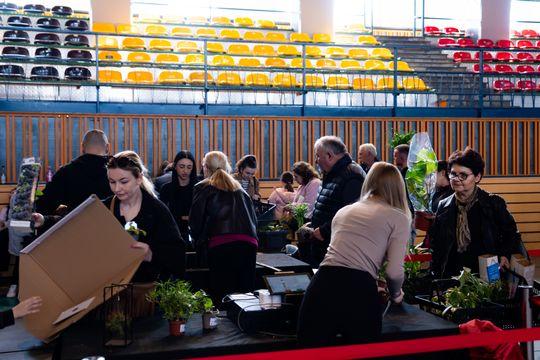Festiwal roślin w Radomiu (zdjęcia)