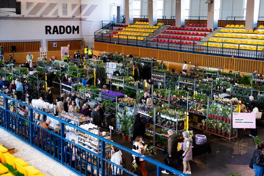 Festiwal roślin w Radomiu (zdjęcia)