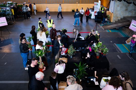 Festiwal roślin w Radomiu (zdjęcia)